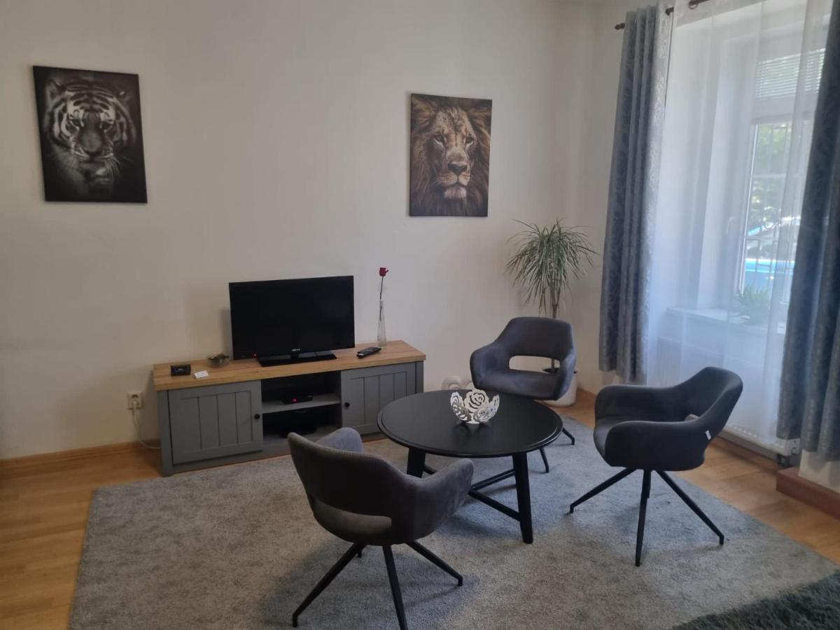 Cerny Tulipan - Apartman 1 Plzeň Exteriör bild