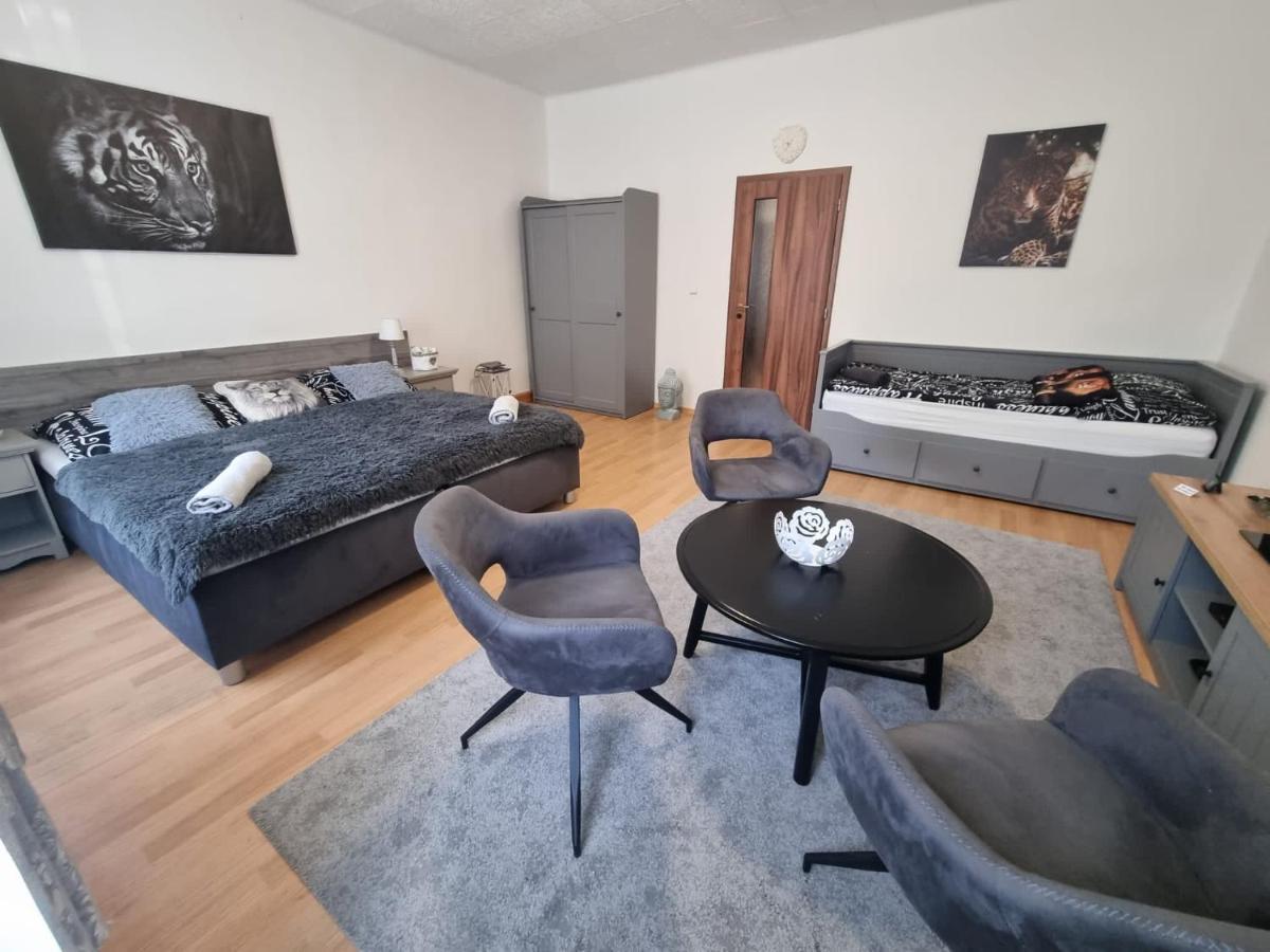 Cerny Tulipan - Apartman 1 Plzeň Exteriör bild